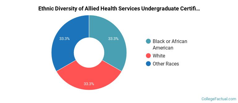 Ethnic diversity of Allied Health Services majors at Mountwest Community and Technical College