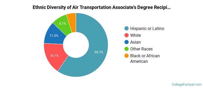 Ethnic diversity of Air Transportation majors at Mt San Antonio College