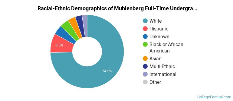Muhlenberg College Undergraduate Racial-Ethnic Diversity Pie Chart