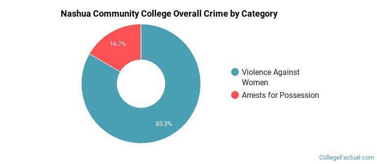 Nashua Community College Overall Crime by Category