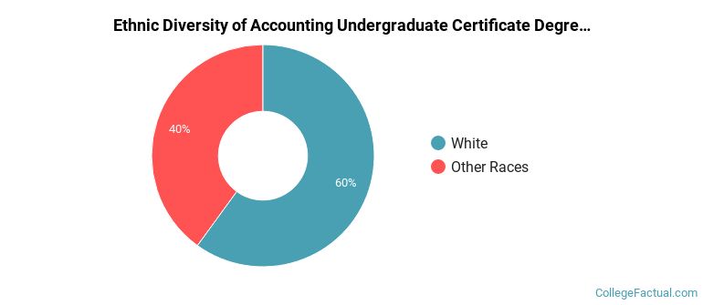 Ethnic diversity of Accounting majors at National Park College