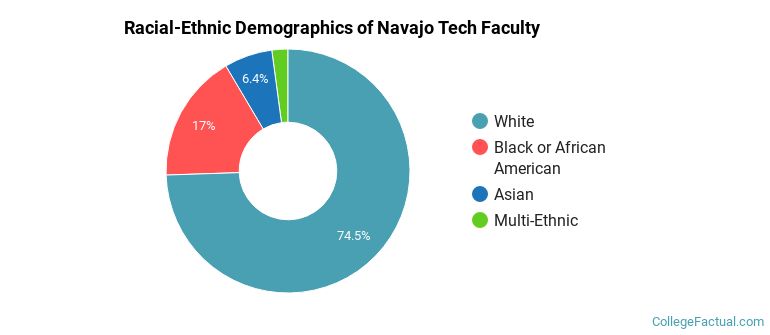 Racial-Ethnic Demographics of Navajo Tech Faculty