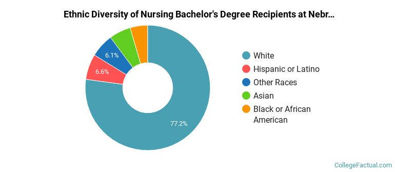 Ethnic diversity of Nursing majors at Nebraska Methodist College of Nursing & Allied Health