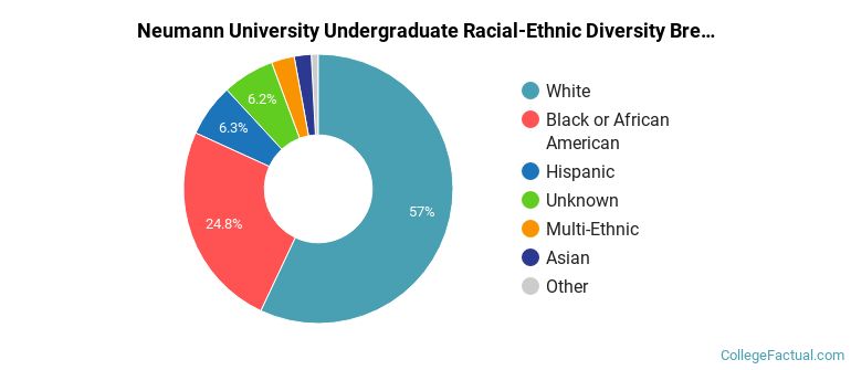 Neumann University Racial-Ethnic Diversity Pie Chart