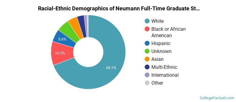 Neumann University Graduate Students Racial-Ethnic Diversity Pie Chart