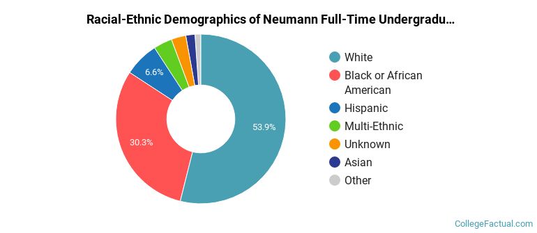 Neumann University Undergraduate Racial-Ethnic Diversity Pie Chart