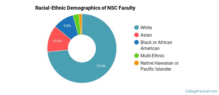 Racial-Ethnic Demographics of NSC Faculty