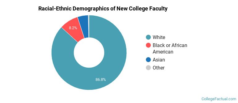 Racial-Ethnic Demographics of New College Faculty