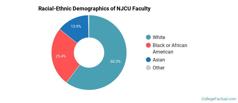 Racial-Ethnic Demographics of NJCU Faculty
