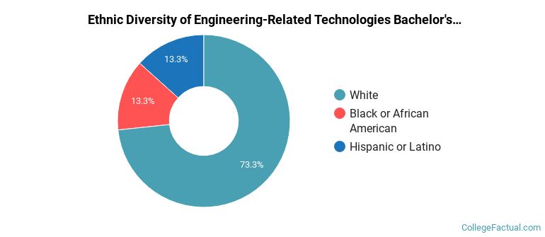 Ethnic diversity of Engineering-Related Technologies majors at New Jersey Institute of Technology
