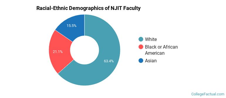 Racial-Ethnic Demographics of NJIT Faculty