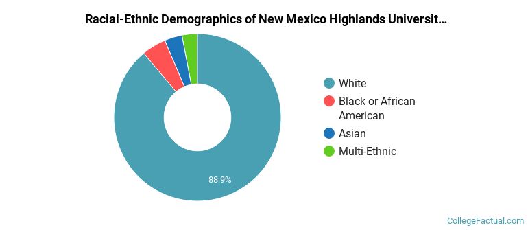 Racial-Ethnic Demographics of New Mexico Highlands University Faculty