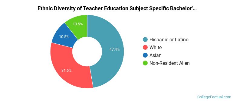 Ethnic diversity of Teacher Education Subject Specific majors at New York University
