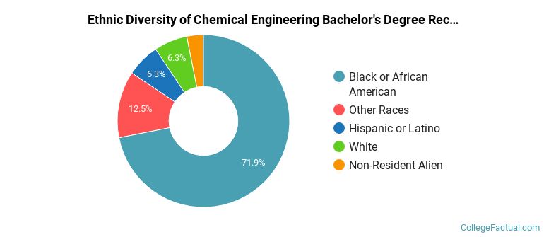 Ethnic diversity of Chemical Engineering majors at North Carolina A & T State University