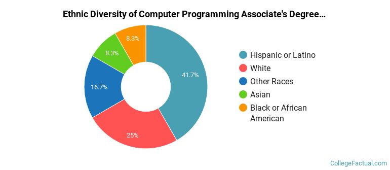 Ethnic diversity of Computer Programming majors at North Shore Community College