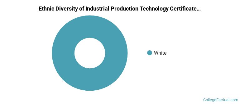 Ethnic diversity of Industrial Production Technology majors at North Shore Community College