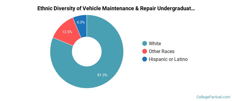 Ethnic diversity of Vehicle Maintenance & Repair majors at Northeast Community College