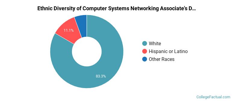Ethnic diversity of Computer Systems Networking majors at Northeast Wisconsin Technical College