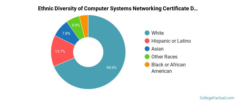 Ethnic diversity of Computer Systems Networking majors at Northeast Wisconsin Technical College