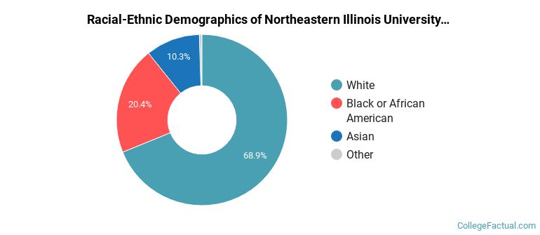 Racial-Ethnic Demographics of Northeastern Illinois University Faculty