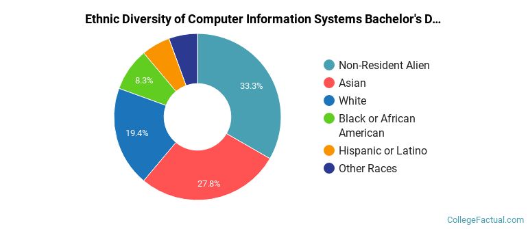 Ethnic diversity of Computer Information Systems majors at Northeastern University Professional Programs