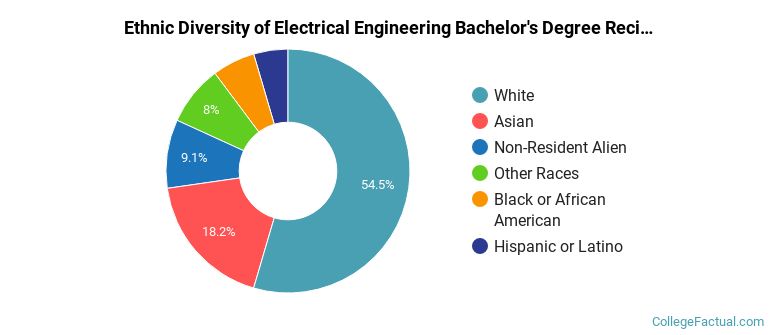 Ethnic diversity of Electrical Engineering majors at Northeastern University
