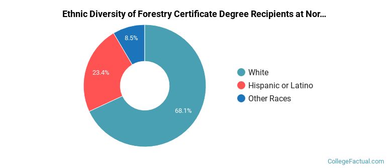 Ethnic diversity of Forestry majors at Northern Arizona University