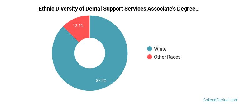 Ethnic diversity of Dental Support Services majors at Northwestern Michigan College
