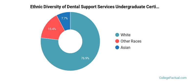Ethnic diversity of Dental Support Services majors at Northwestern Michigan College