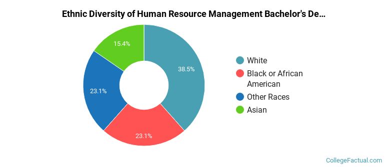 Ethnic diversity of Human Resource Management majors at Northwestern University