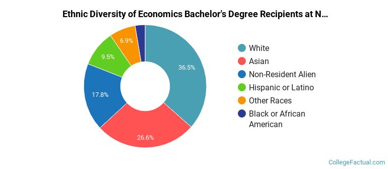 Ethnic diversity of Economics majors at Northwestern University