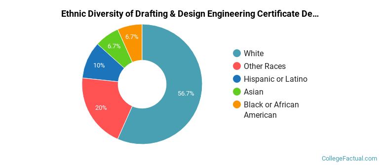 Ethnic diversity of Drafting & Design Engineering majors at Oakton College