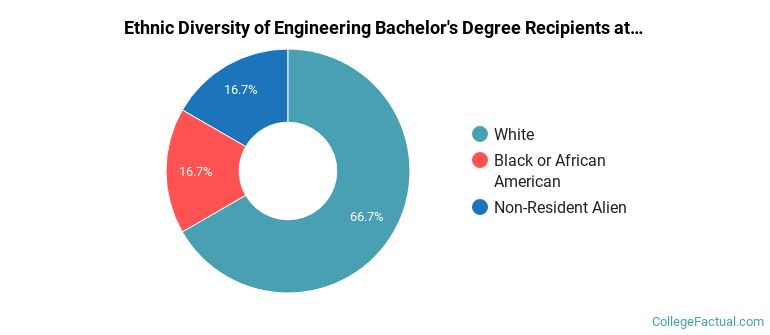 Ethnic diversity of Engineering majors at Oglethorpe University