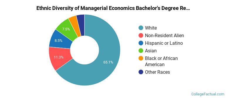 Ethnic diversity of Managerial Economics majors at Ohio State University-Main Campus