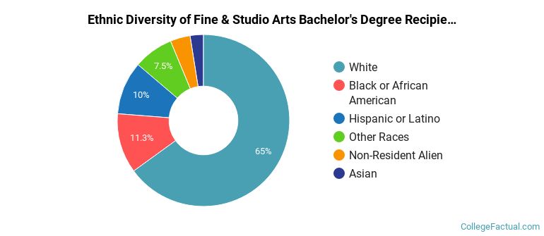 Ethnic diversity of Fine & Studio Arts majors at Ohio State University-Main Campus