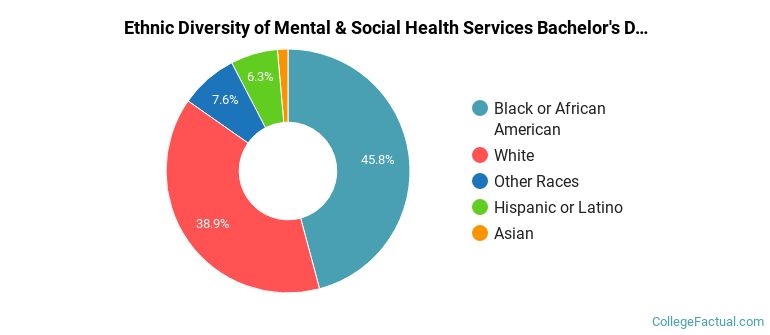 Ethnic diversity of Mental & Social Health Services majors at Old Dominion University