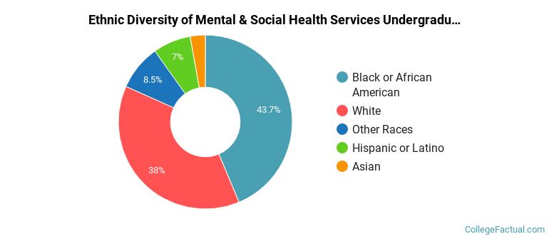 Ethnic diversity of Mental & Social Health Services majors at Old Dominion University