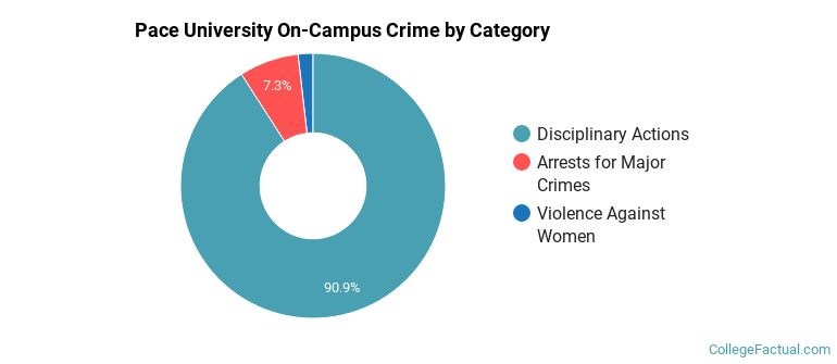 Pace University On-Campus Crime by Category