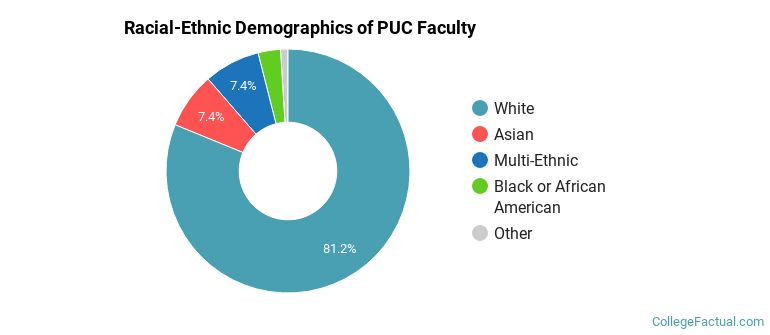 Racial-Ethnic Demographics of PUC Faculty