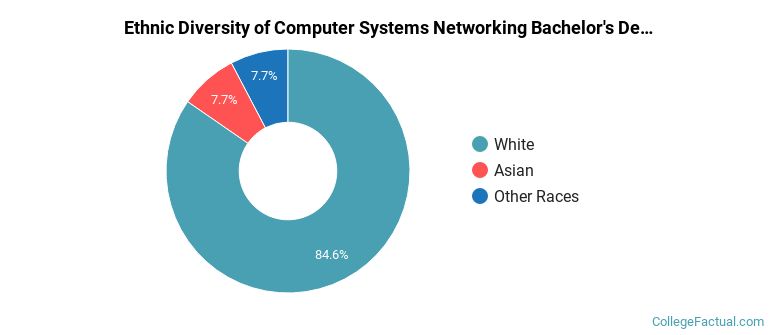 Ethnic diversity of Computer Systems Networking majors at Pennsylvania College of Technology