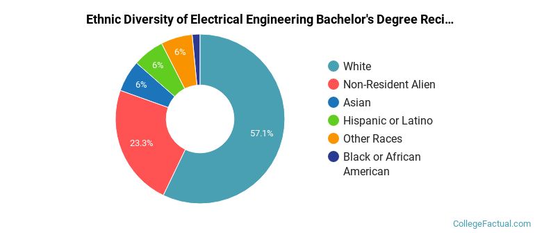 Ethnic diversity of Electrical Engineering majors at Pennsylvania State University-Main Campus