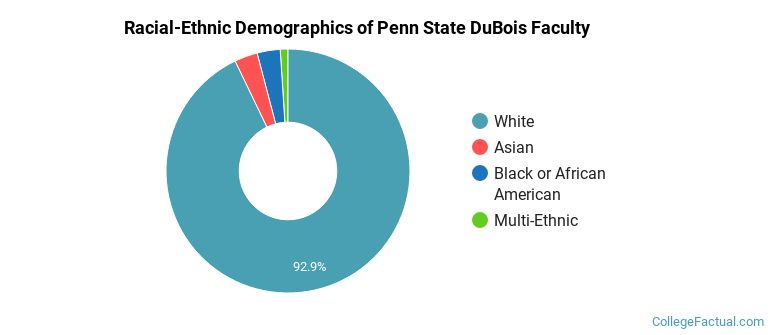 Racial-Ethnic Demographics of Penn State DuBois Faculty