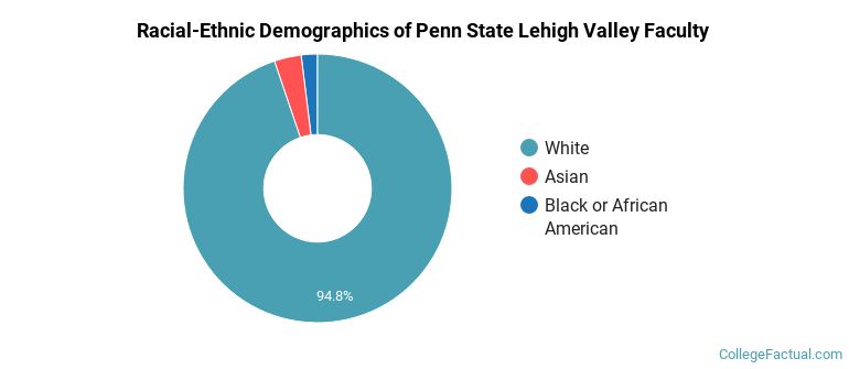 Racial-Ethnic Demographics of Penn State Lehigh Valley Faculty
