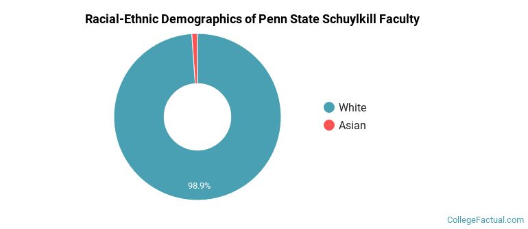 Racial-Ethnic Demographics of Penn State Schuylkill Faculty