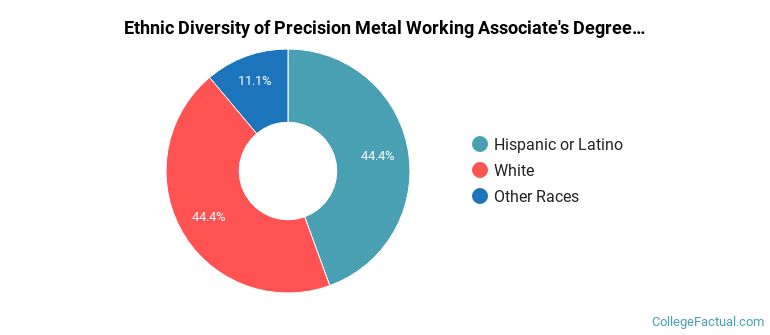 Ethnic diversity of Precision Metal Working majors at Pima Community College