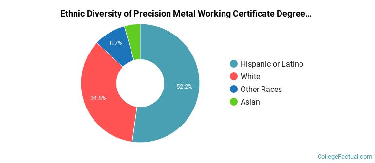Ethnic diversity of Precision Metal Working majors at Pima Community College