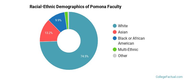 Racial-Ethnic Demographics of Pomona Faculty