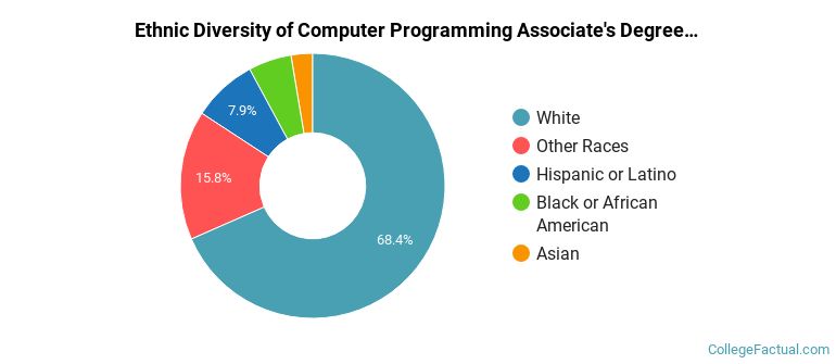 Ethnic diversity of Computer Programming majors at Portland Community College