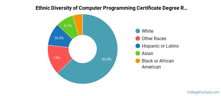 Ethnic diversity of Computer Programming majors at Portland Community College