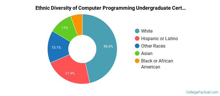 Ethnic diversity of Computer Programming majors at Portland Community College